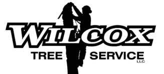 Wilcox Tree Service